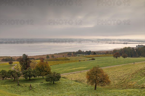 Foggy atmosphere at sunrise with view of the Seerhein