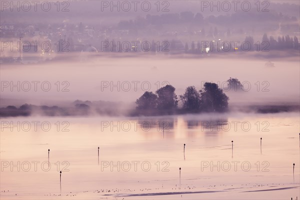 Foggy atmosphere at sunrise with view of the Seerhein