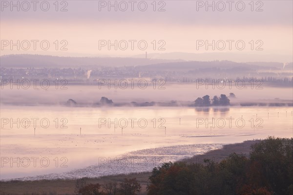 Foggy atmosphere at sunrise with view of the Seerhein