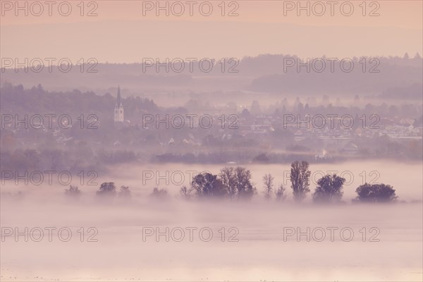 Foggy atmosphere at sunrise with view of the Seerhein