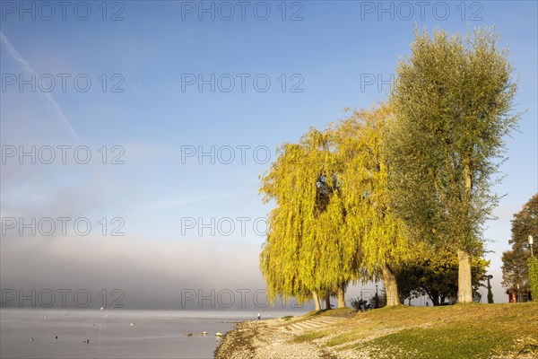 Fog over Lake Constance on an autumn morning with boats