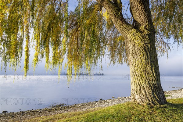 Fog over Lake Constance on an autumn morning with boats