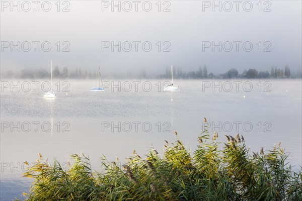 Fog over Lake Constance on an autumn morning with boats