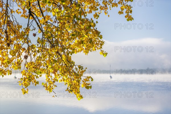 Fog over Lake Constance on an autumn morning with boats