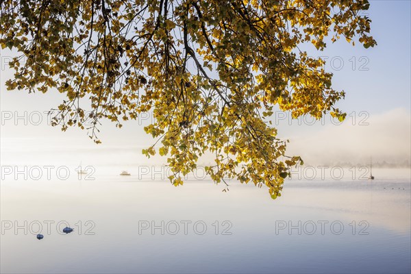 Fog over Lake Constance on an autumn morning with boats