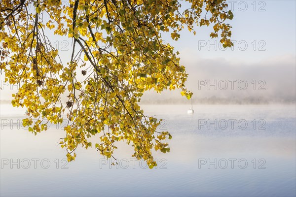 Fog over Lake Constance on an autumn morning with boats