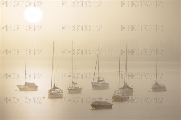 Fog over Lake Constance on an autumn morning with sailing boats