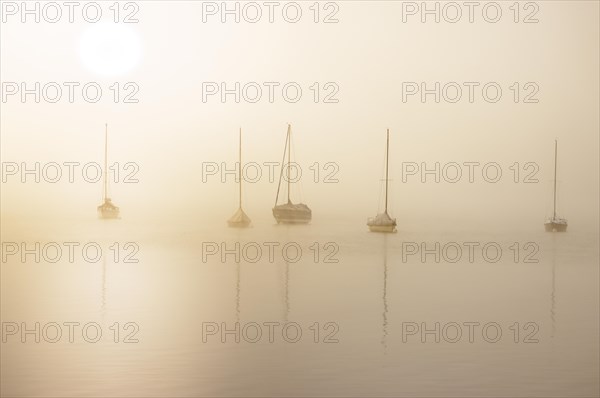 Fog over Lake Constance on an autumn morning with boats