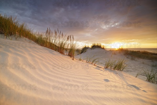 Sunset in the dunes at the North Sea