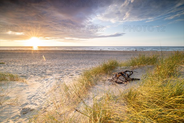 Sunset in the dunes at the North Sea