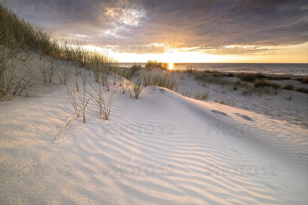 Sunset in the dunes at the North Sea