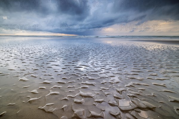 Evening mood with cloudy sky and rain on the beach and in the dunes of De Panne