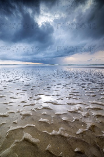 Evening mood with cloudy sky and rain on the beach and in the dunes of De Panne