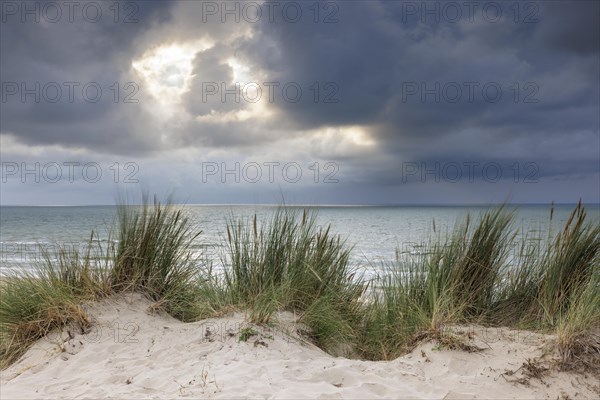 Evening mood with cloudy sky and rain on the beach and in the dunes of De Panne