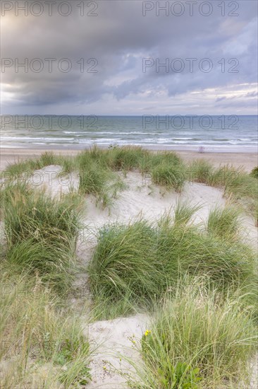 Evening mood with cloudy sky and rain on the beach and in the dunes of De Panne