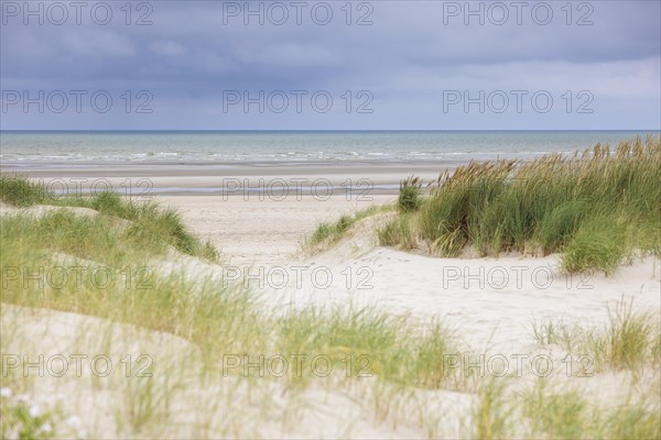 Dune landscape on the North Sea coast in De Panne