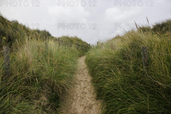 Dune landscape on the North Sea coast in De Panne