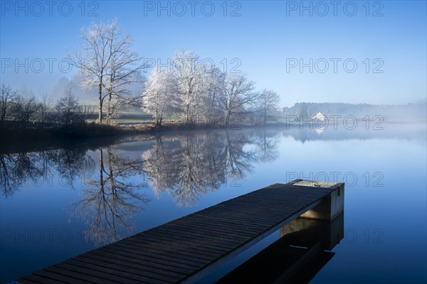 The castle pond near Siggen on a cold day in late autumn. The trees are bare and covered in hoarfrost. The landscape is reflected in the water. A footbridge in the foreground. Blue clear sky