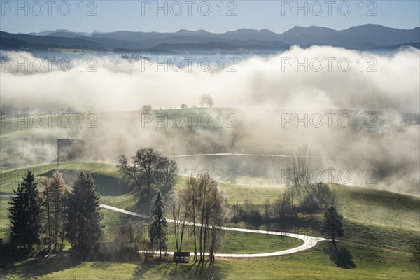 Landscape in the Allgäu in autumn. Deep clouds hang in the valley. Fog rises in the sun. Mountains in the background. Inversion weather