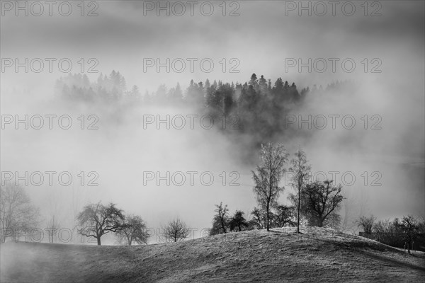 Landscape in the Allgäu in autumn. Deep clouds hang in the valley. Fog rises in the sun. Inversion weather. Siggener Höhe