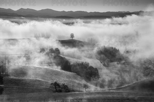 Landscape in the Allgäu in autumn. Deep clouds hang in the valley. Fog rises in the sun. Mountains in the background. Inversion weather