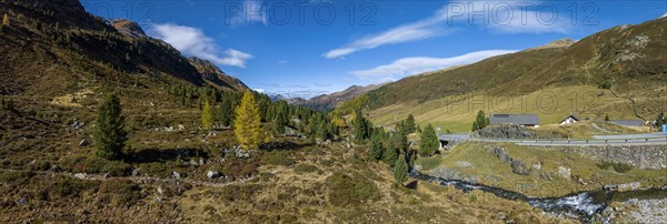 Colourful larches and mountain panorama