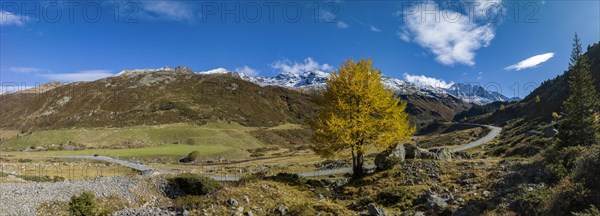 Colourful larches and mountain panorama
