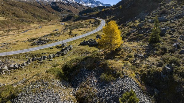 Colourful larches and mountain panorama