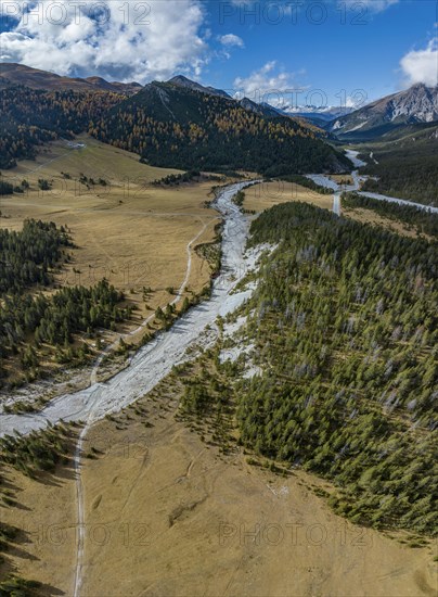 Alluvial plain