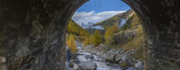 Colourful autumnal larch forests and torrent