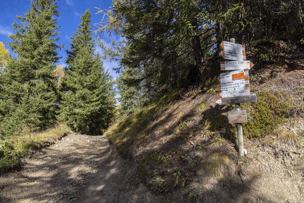 Main signpost