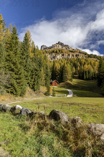 Autumnal coloured larches at the foot of the Catinaccio massif