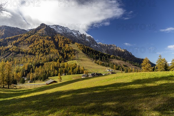 Autumnal coloured larches at the foot of the Catinaccio massif