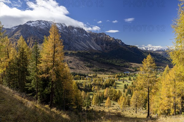 Autumnal coloured larches at the foot of the Catinaccio massif