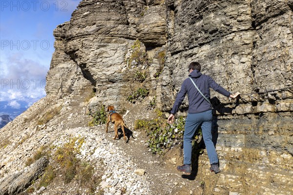 Hiker with Vizsla dog at a rope-secured passage on the hiking trail in the Catinaccio massif