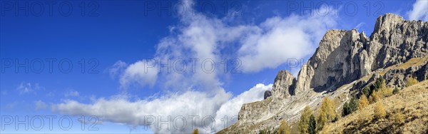 Rose garden massif and clouds in autumn