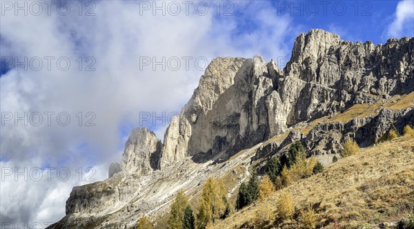 Rose garden massif and clouds in autumn