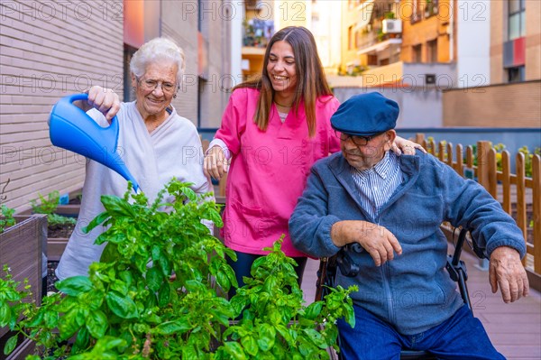 Nurse supervising elder people working on a vegetable garden in a nursing home