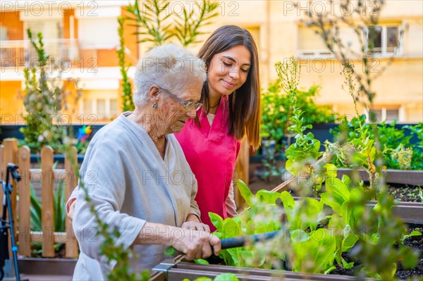 Nurse and elder woman cultivating plants in a garden in a geriatric