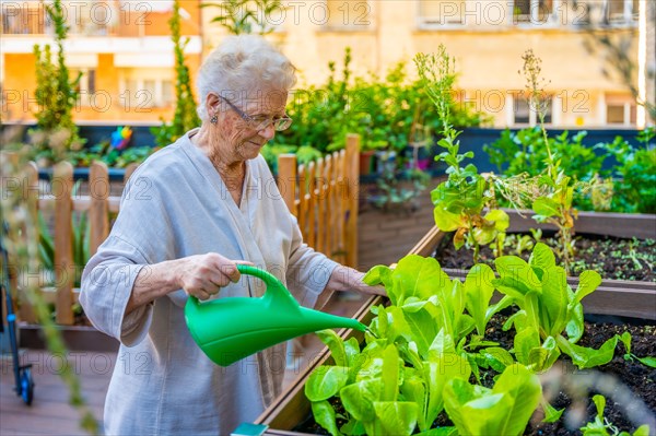 Elder woman watering plants in a garden at geriatric