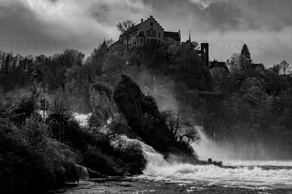 Rhine Falls and Swiss Flag with the Castle Laufen at Neuhausen