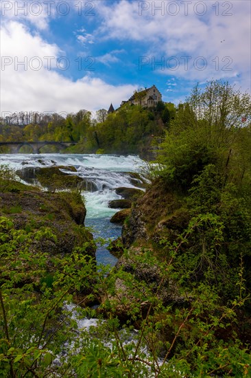 Rhine Falls with the Castle Laufen at Neuhausen