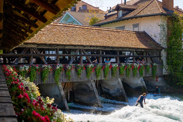 Surfer Surfing on River Aare in City of Thun from Untere Schleuse Bridge in a Sunny Summer Day