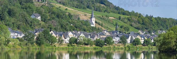 The wine village of Briedel on the Moselle