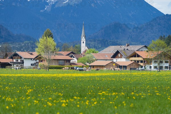 Spring in Schwangau