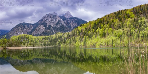 Schwansee