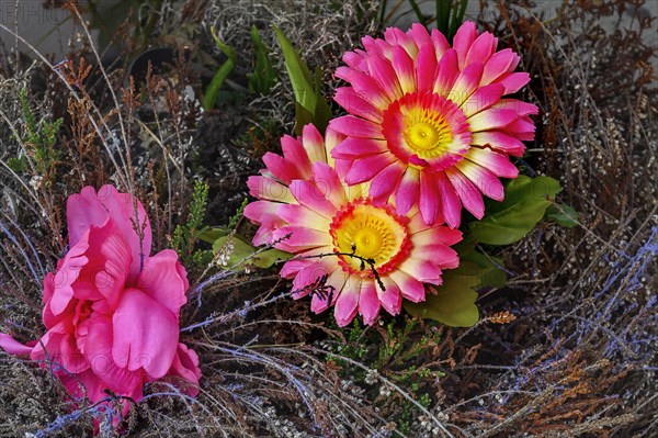 Artificial gerbera