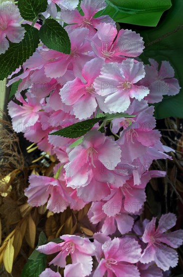 Artificial Japanese camellia