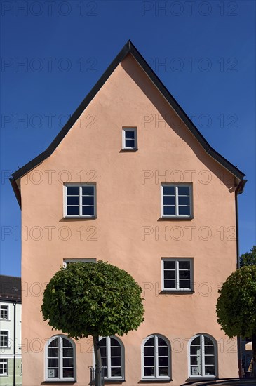 Pointed gable façade in pink with round-cut tree