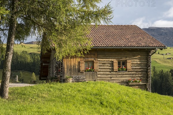 Alpine hut on the Alpe di Siusi